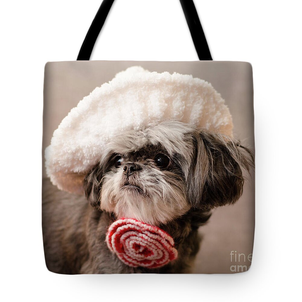 Shi Tzu Dog Tote Bag featuring the photograph Madam Scarlett by Irina ArchAngelSkaya