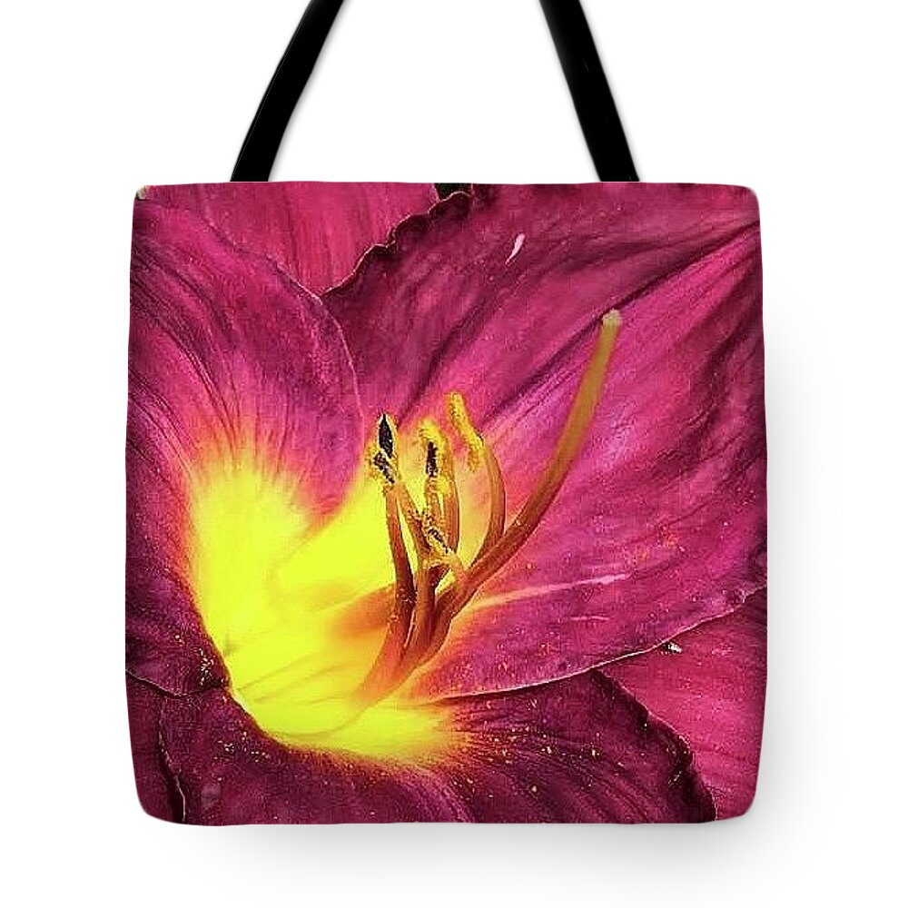 Flora Tote Bag featuring the photograph Magenta Prince Daylily by Bruce Bley