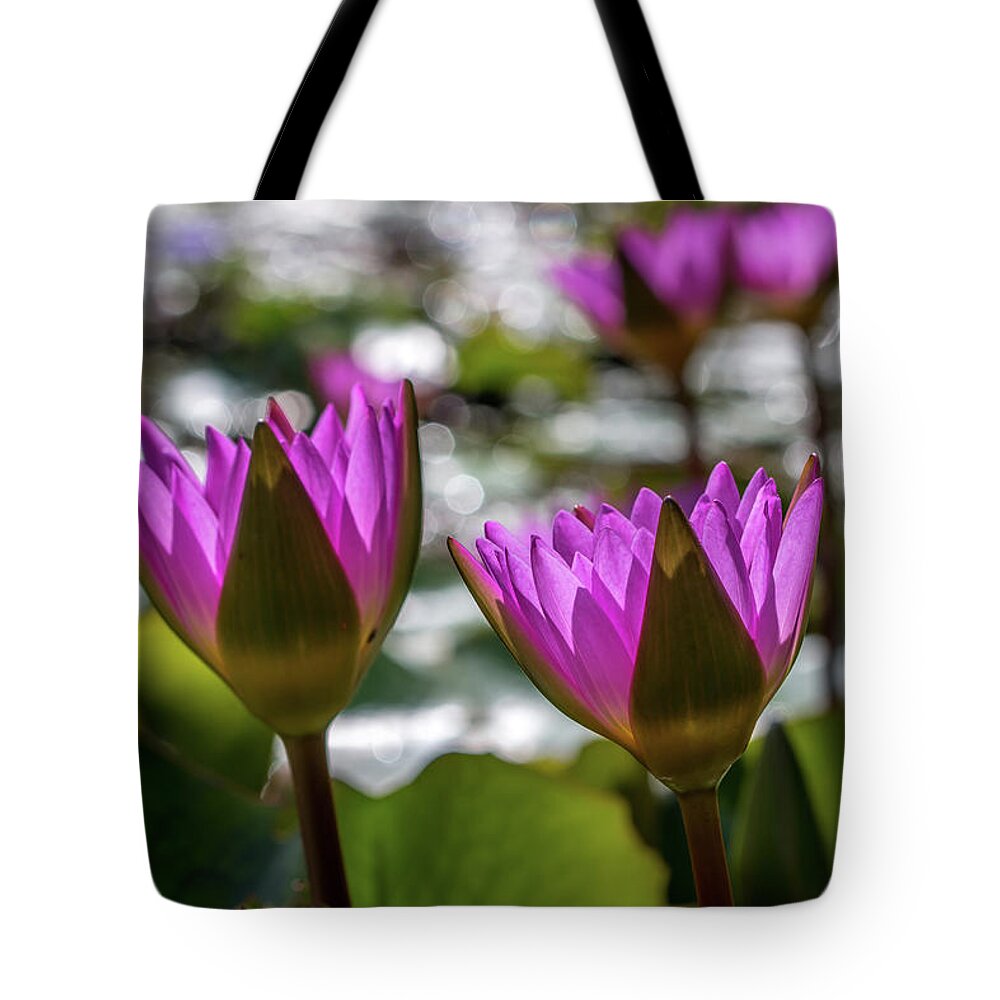 Magenta Tote Bag featuring the photograph Magenta Water Lilies by Susie Weaver