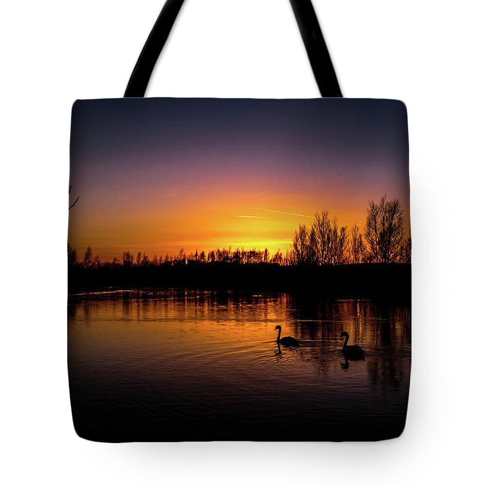 Photo Tote Bag featuring the photograph Magestic swans by Joe Rey