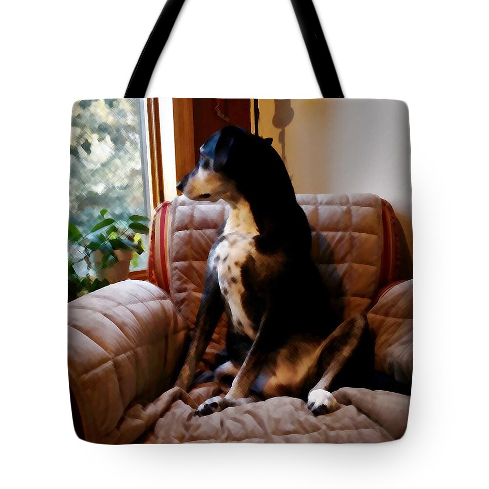 Family Tote Bag featuring the photograph Maggie's Spot by David Ralph Johnson