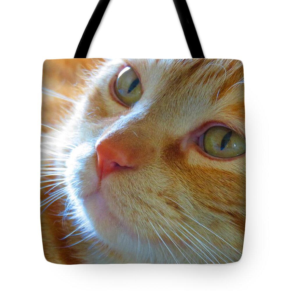 American Tote Bag featuring the photograph Magic 2 by Judy Kennedy