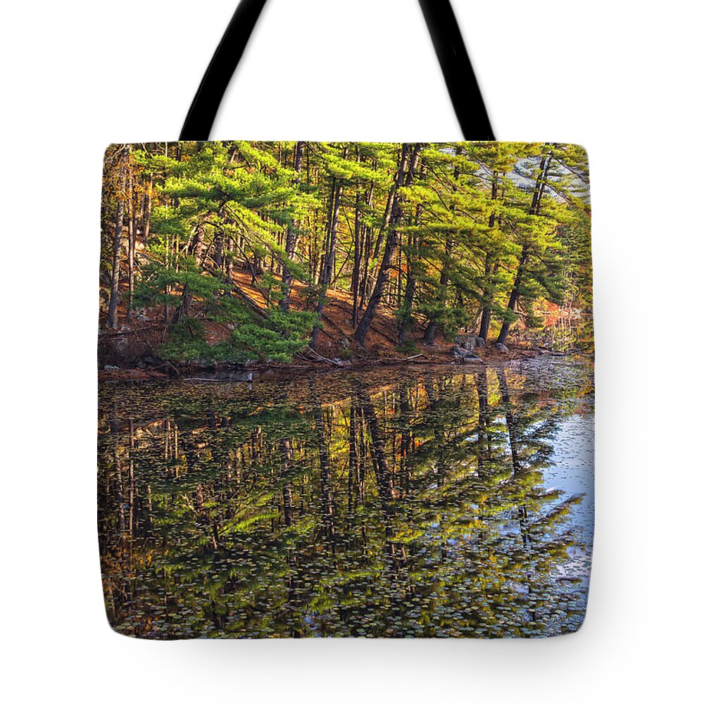 Abstract Tote Bag featuring the photograph Magic At Lake Kanawauke by Angelo Marcialis