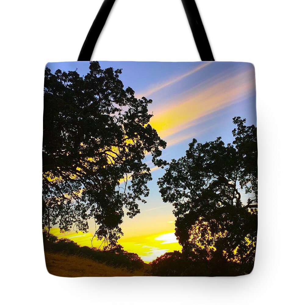 Sunset Tote Bag featuring the photograph Magic Hour Sunset by Brad Hodges