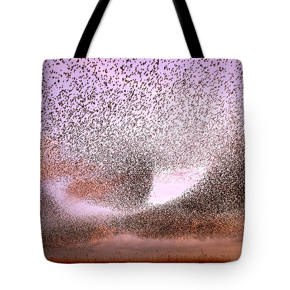 Starling Tote Bag featuring the photograph Magic in the Air - Starling Murmurations by Roeselien Raimond