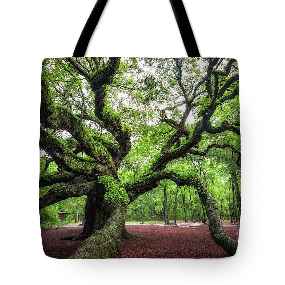 Angel Oak Tree Tote Bag featuring the photograph Magical Angel Oak Tree by Michael Ver Sprill