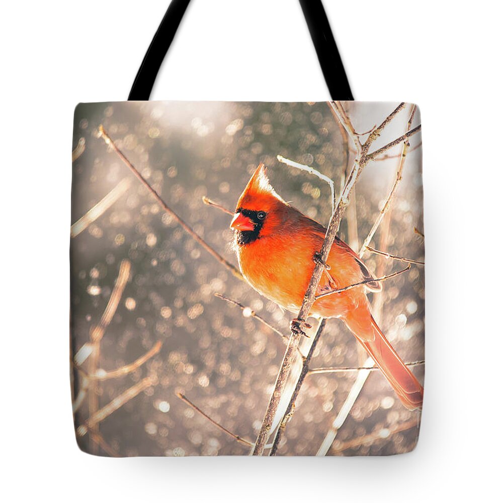 Cheryl Baxter Photography Tote Bag featuring the photograph Magical Cardinal by Cheryl Baxter