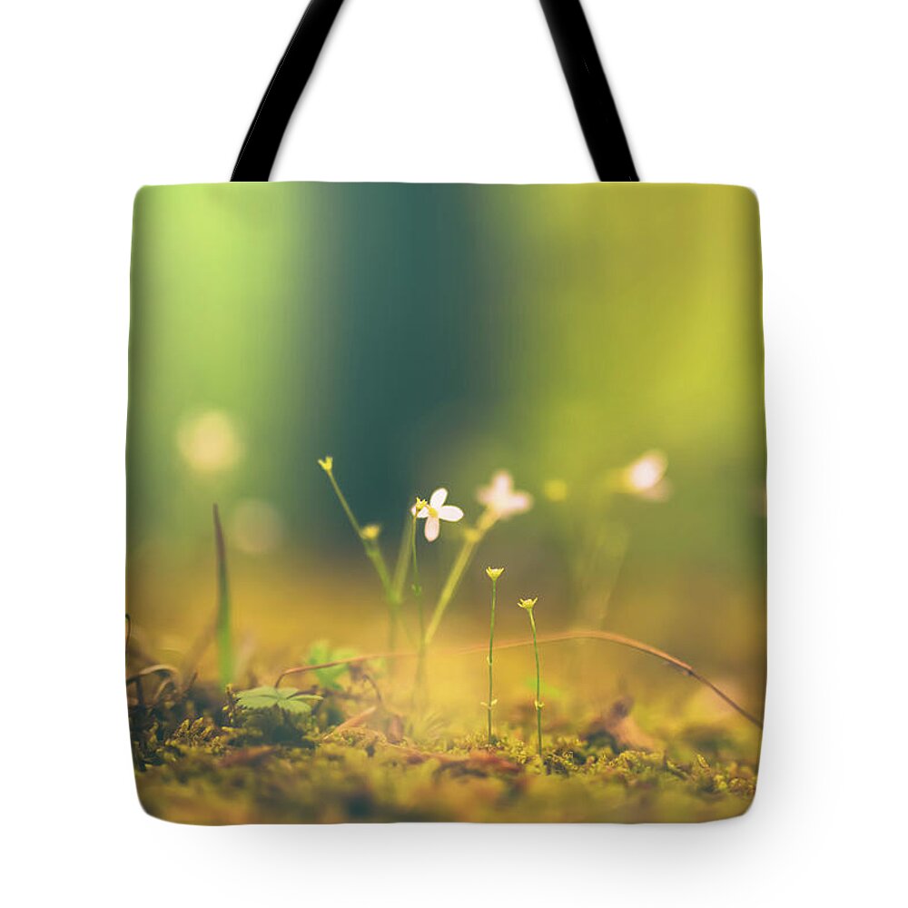 Forest Tote Bag featuring the photograph Magical Moment by Shane Holsclaw