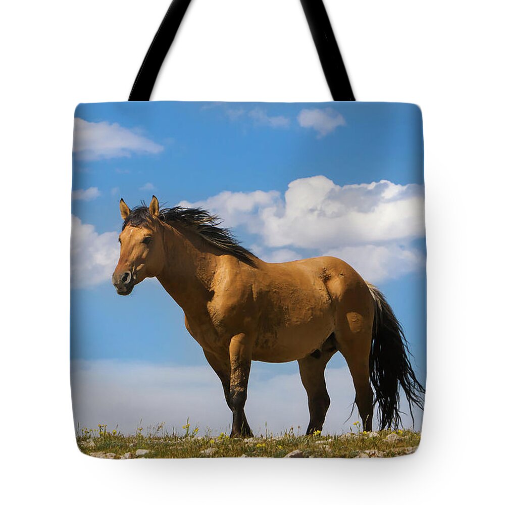 Mark Miller Photos Tote Bag featuring the photograph Magnificent Wild Horse by Mark Miller