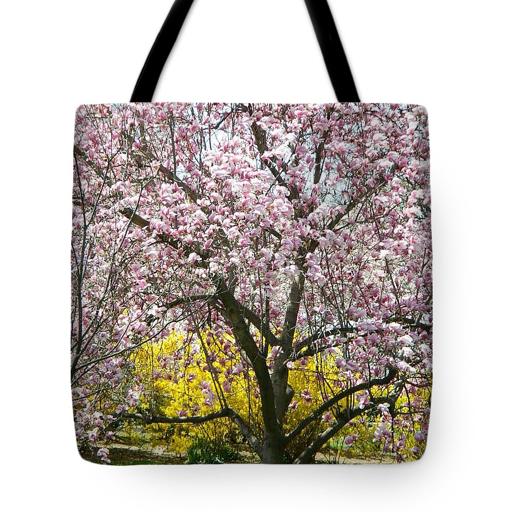 Magnolia Blossoms Tote Bag featuring the photograph Magnolia Blossoms Galore by Emmy Marie Vickers