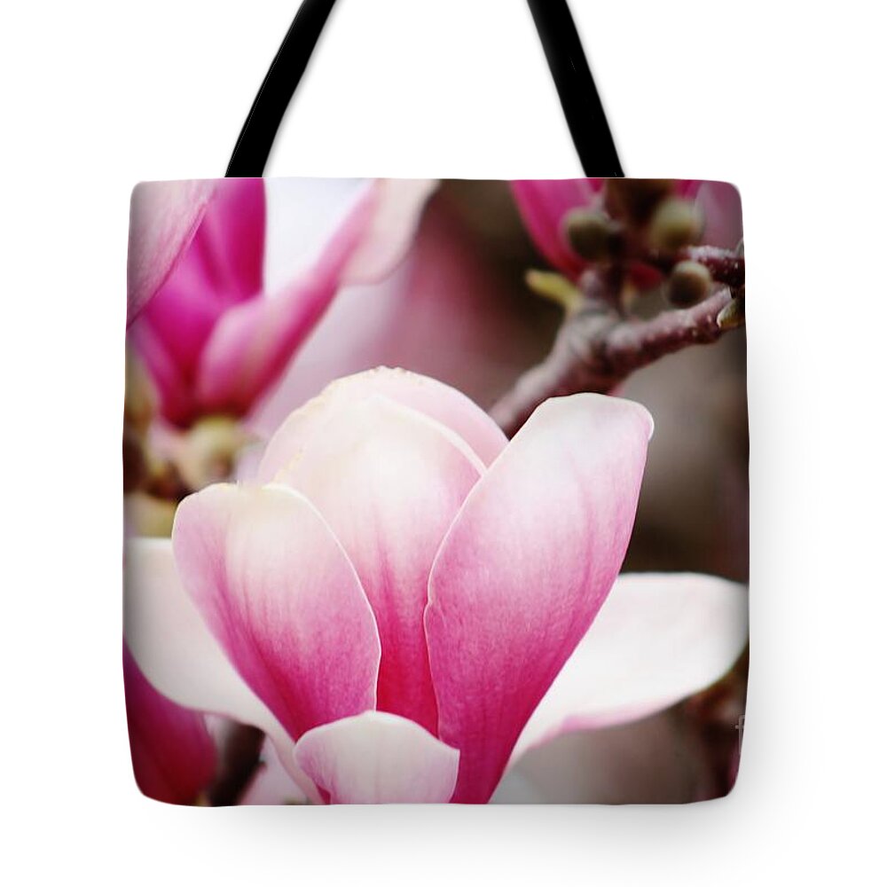 Magnolia Tote Bag featuring the photograph Magnolia by Don Baker
