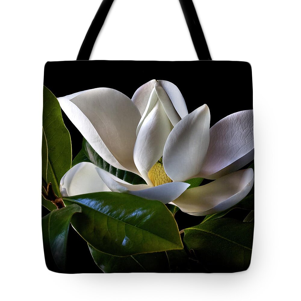 Flower Tote Bag featuring the photograph Magnolia by Endre Balogh