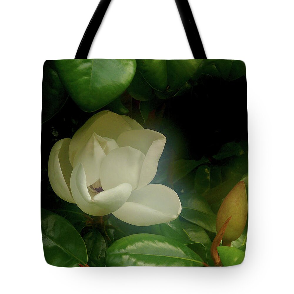 Magnolia Tote Bag featuring the photograph Magnolia by Evelyn Tambour