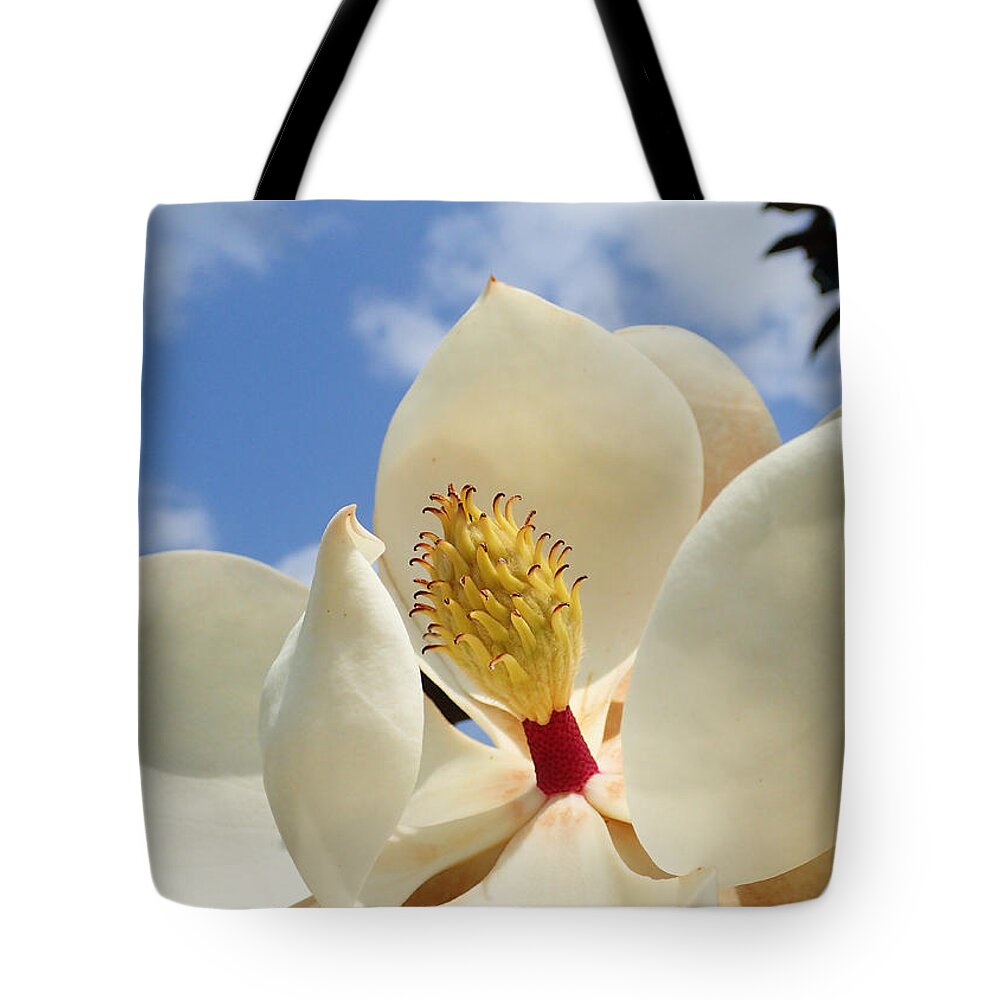 Magnolia Tote Bag featuring the photograph Magnolia Blossom by Farol Tomson