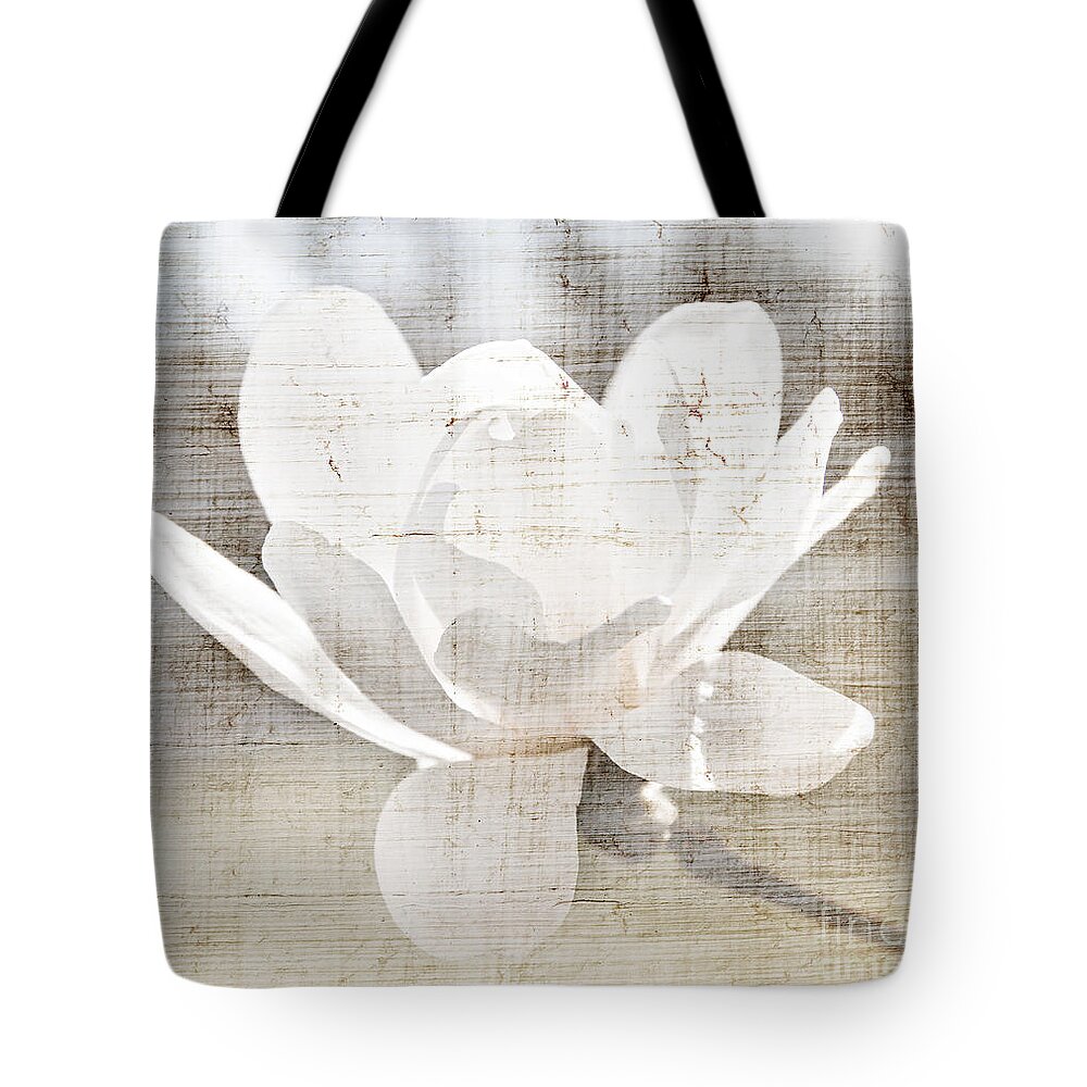 Magnolia Tote Bag featuring the photograph Magnolia flower by Elena Elisseeva