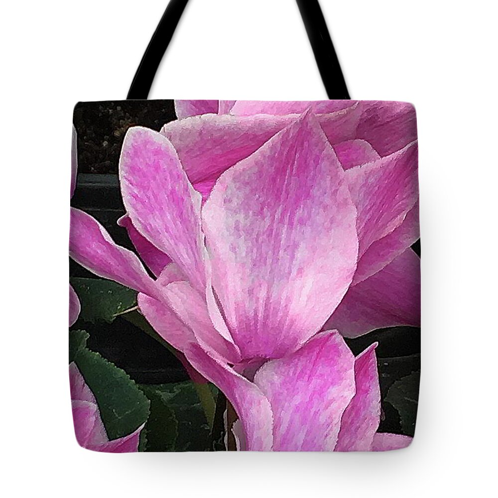 Magnolia Tote Bag featuring the photograph Magnolia by Kathryn Alexander MA