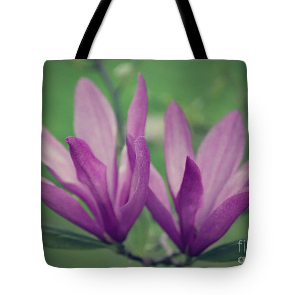  Tote Bag featuring the photograph Magnolia Liliiflora by Janice Pariza