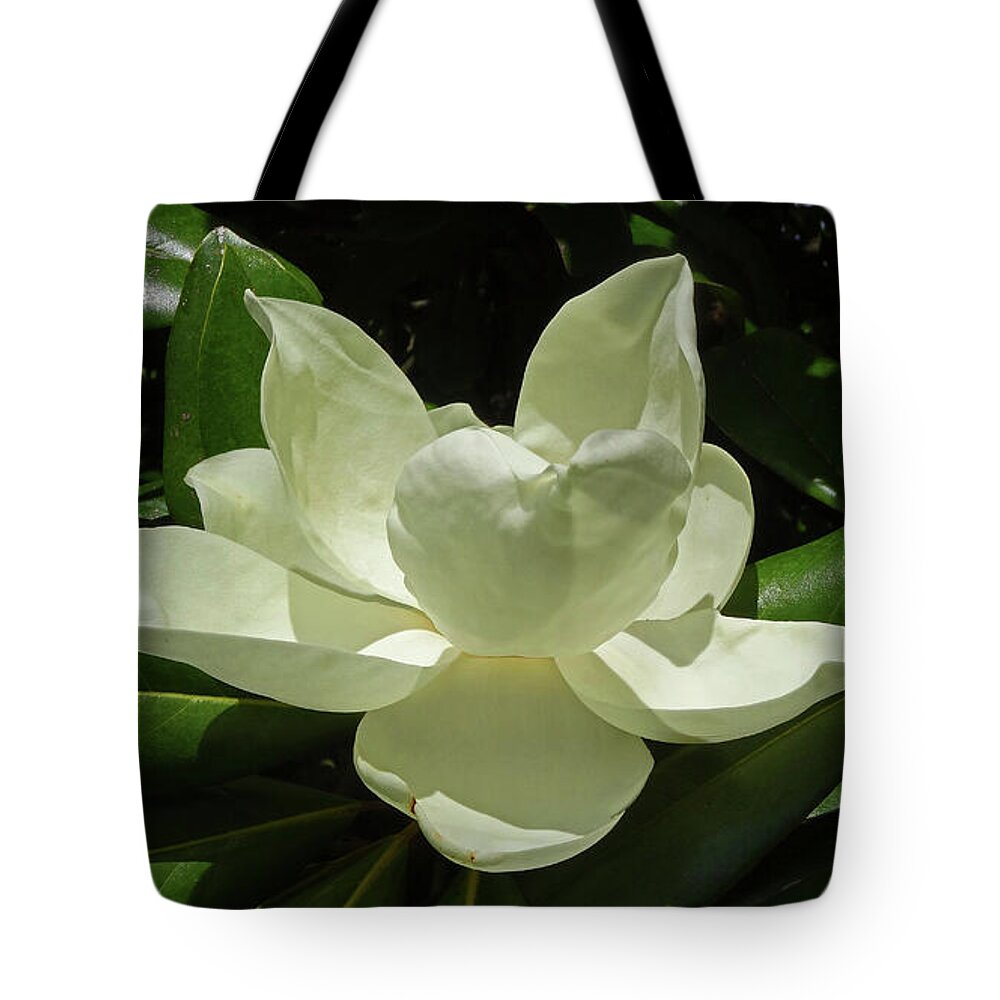 Flower Tote Bag featuring the photograph Magnolia Series 3 by Eunice Warfel