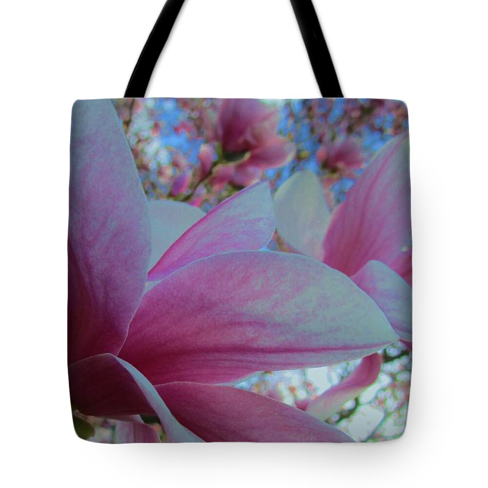 Magnolia Tree Tote Bag featuring the photograph Magnolia Time by Sharon Ackley