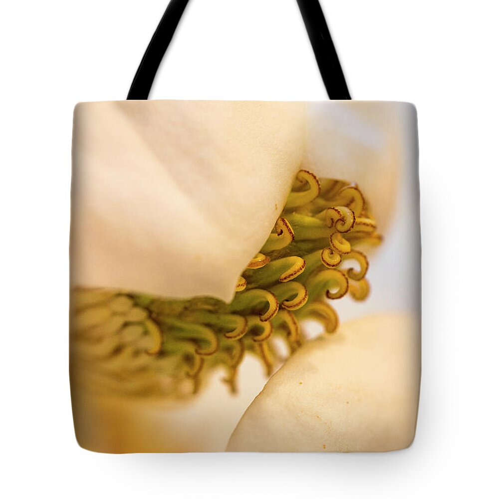 Magnolia Tote Bag featuring the photograph Magnolia by Vanessa Thomas