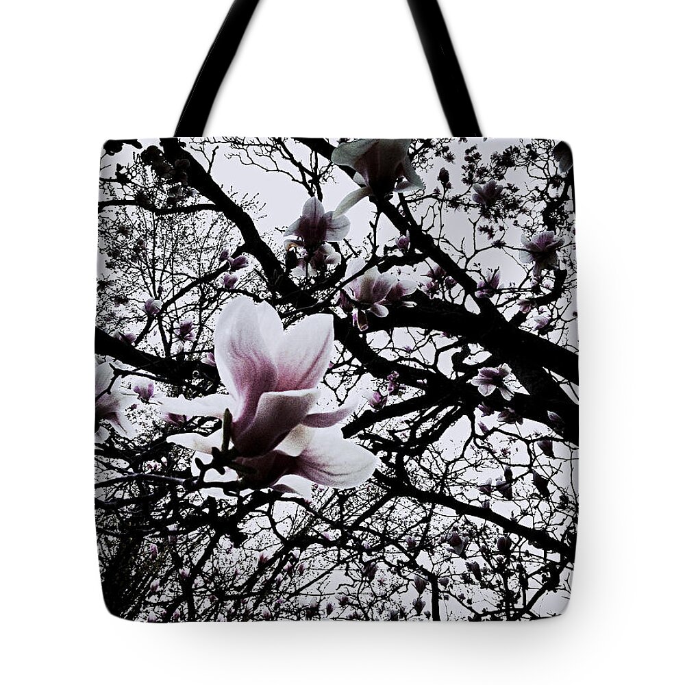 Frank-j-casella Tote Bag featuring the photograph Magnolias Pastel by Frank J Casella