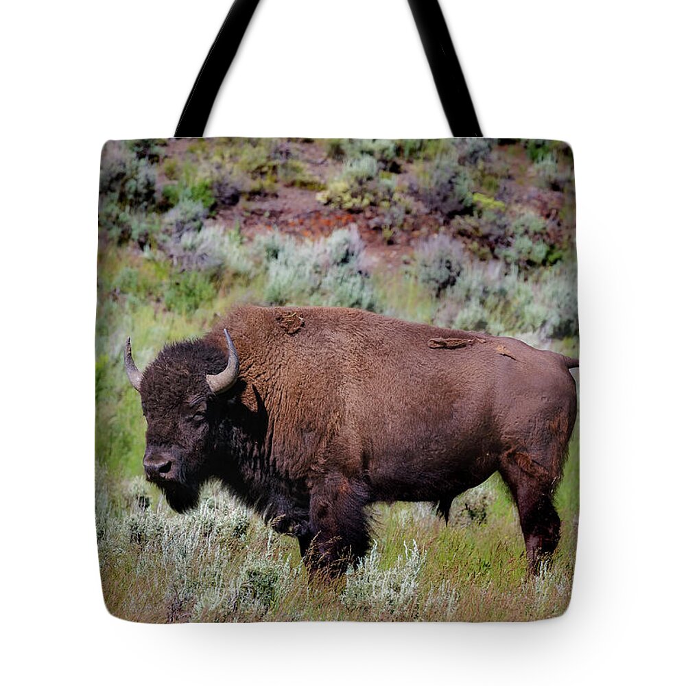 Buffalo Tote Bag featuring the photograph Majestic American Buffalo by C Renee Martin