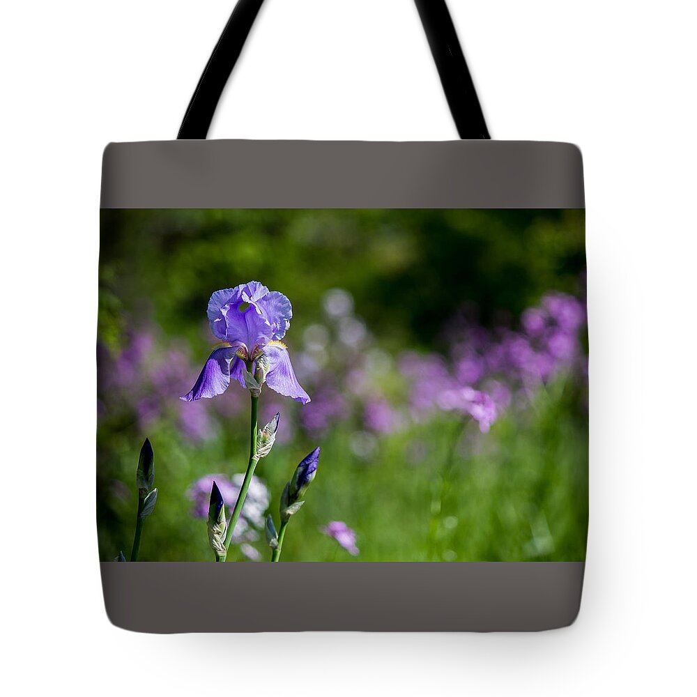 Iris Tote Bag featuring the photograph Majestic Iris by Lisa Lemmons-Powers