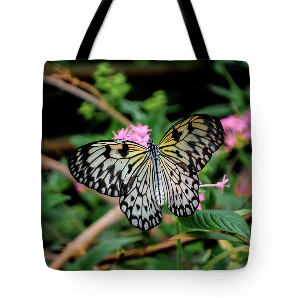 Michelle Meenawong Tote Bag featuring the photograph Malabar tree nymph by Michelle Meenawong