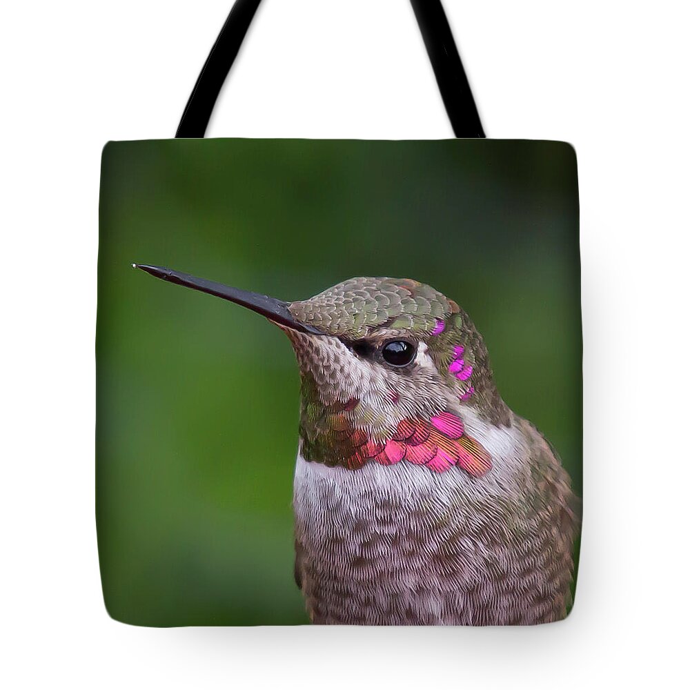Bird Tote Bag featuring the photograph Male Annas Hummingbird by Briand Sanderson