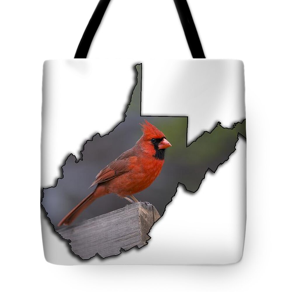 Male; Cardinal; Bird; Red; Posing; Outdoors; Nature Tote Bag featuring the photograph Male cardinal perch by Dan Friend