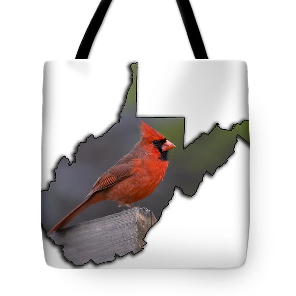 Male; Cardinal; Bird; Red; Posing; Outdoors; Nature Tote Bag featuring the photograph Male cardinal perched on rail by Dan Friend