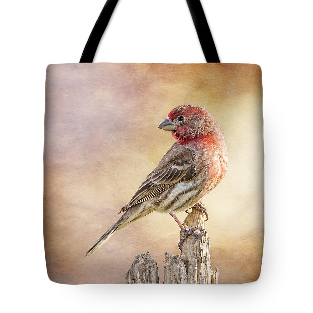 Chordata Tote Bag featuring the photograph Male Finch Poses On Post by Bill and Linda Tiepelman