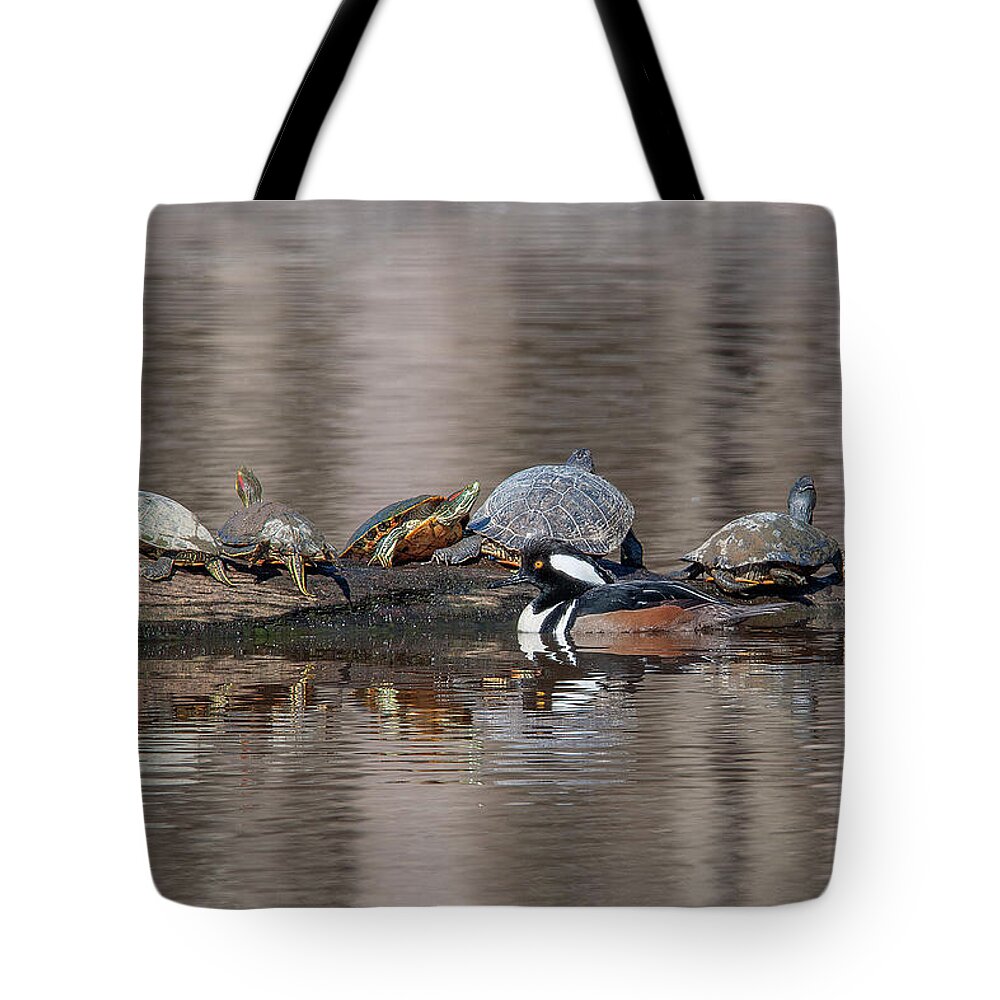 Nature Tote Bag featuring the photograph Male Hooded Merganser and Basking Red-eared Sliders DWF0163 by Gerry Gantt