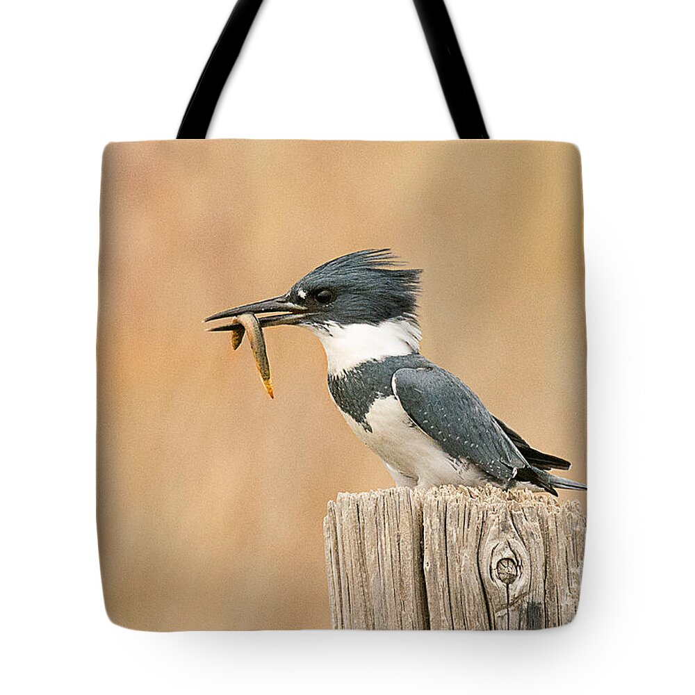 Bird Tote Bag featuring the photograph Male Kingfisher with Fresh Water Eel by Dennis Hammer