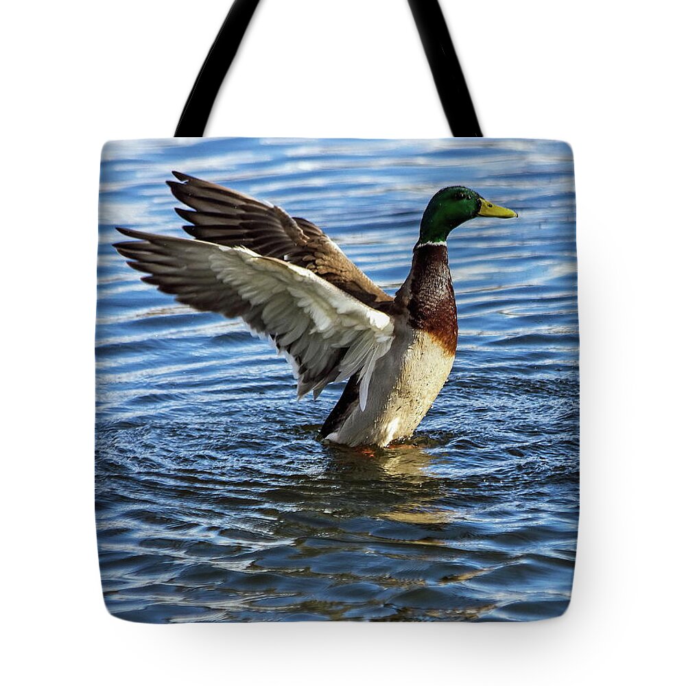 Bird Tote Bag featuring the photograph Male Mallard by Jeff Townsend