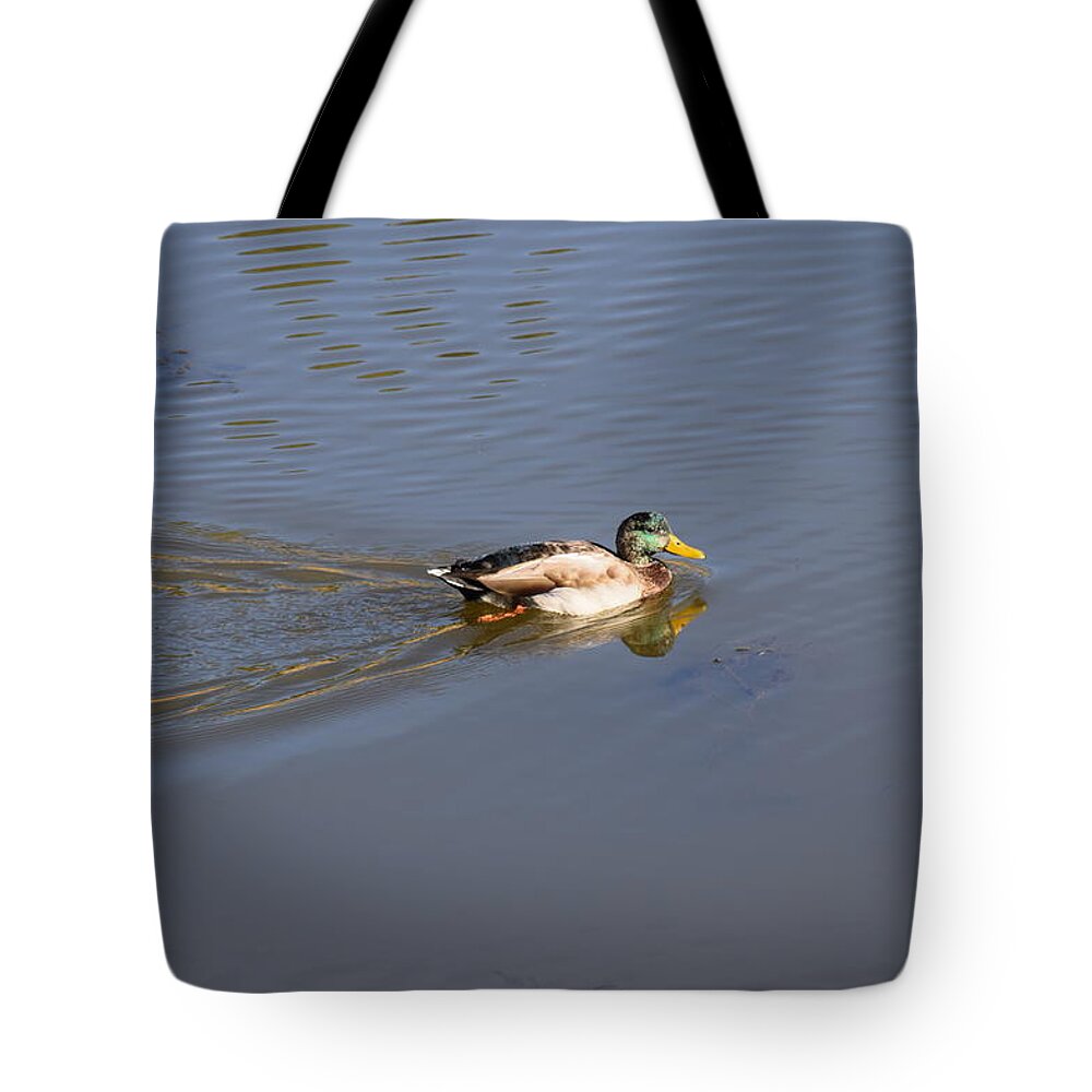 Animal Tote Bag featuring the photograph Mallard Duck Burgess Res CO by Margarethe Binkley