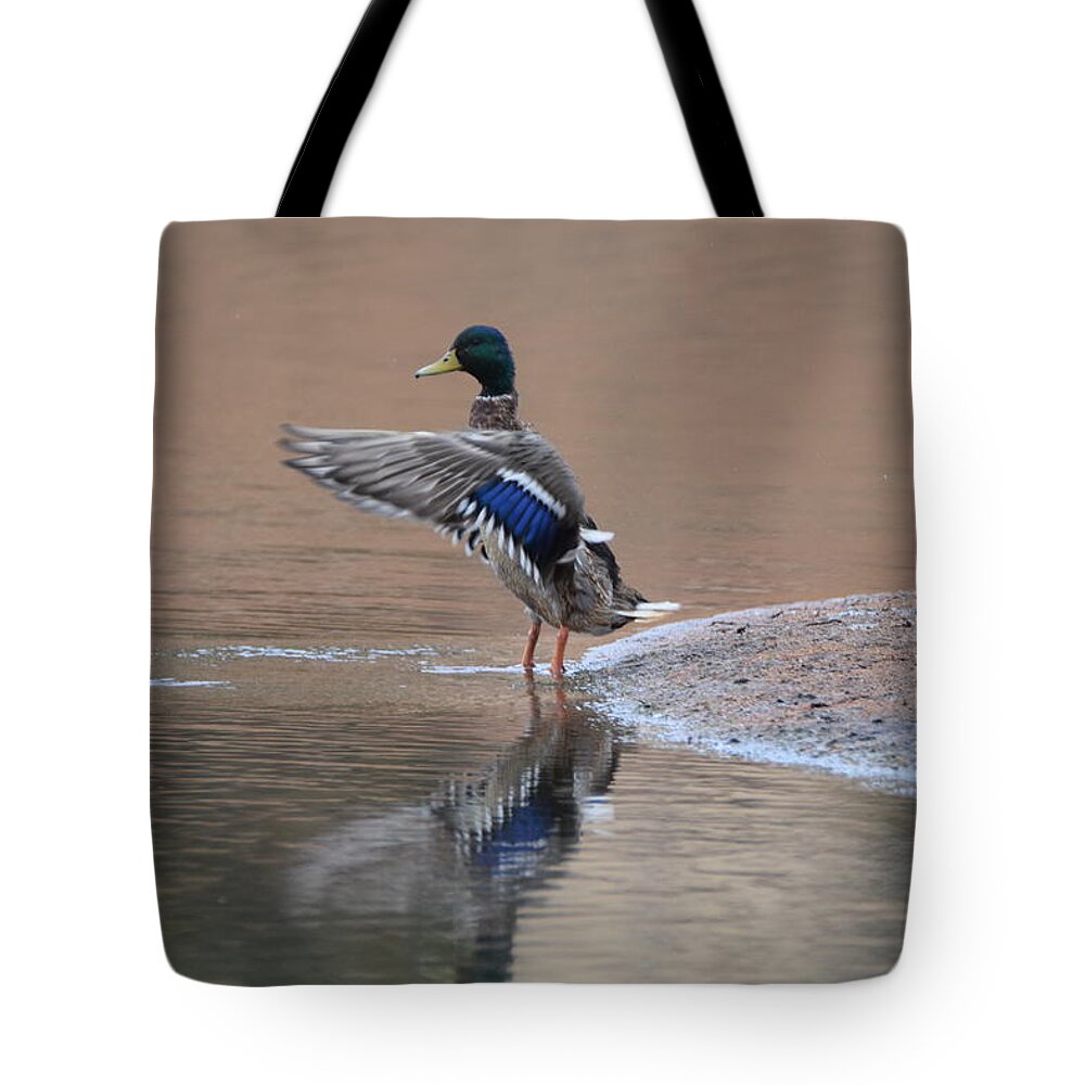 Mallard Duck Male Tote Bag featuring the digital art Mallard Duck Male by Margarethe Binkley