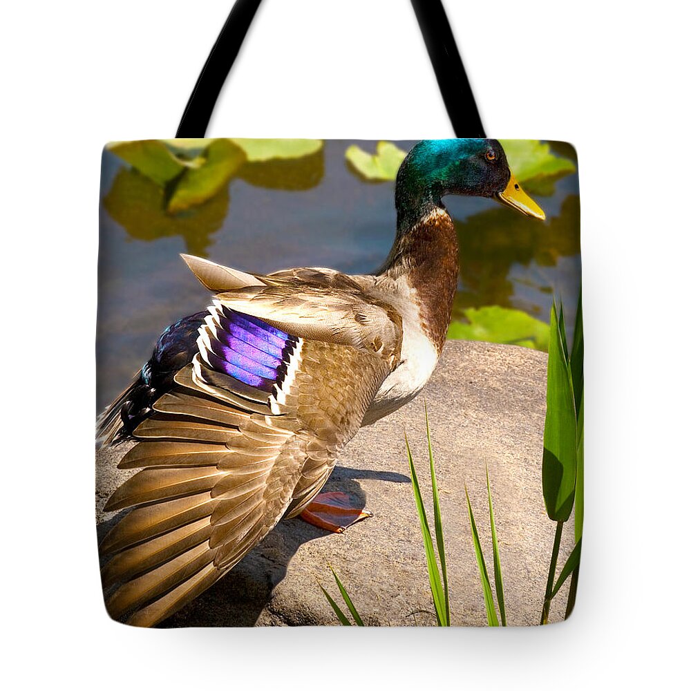 Mallard Duck In The Sun At Rockland Lake New York Nature Fine Art Photography Print Wall Tote Bag featuring the photograph Mallard Duck on Rock by Jerry Cowart