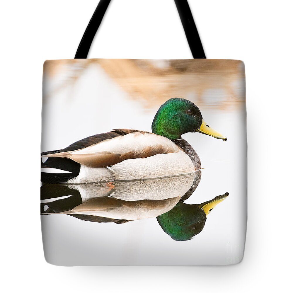 Duck Tote Bag featuring the photograph Mallard Duck Reflected by Dennis Hammer