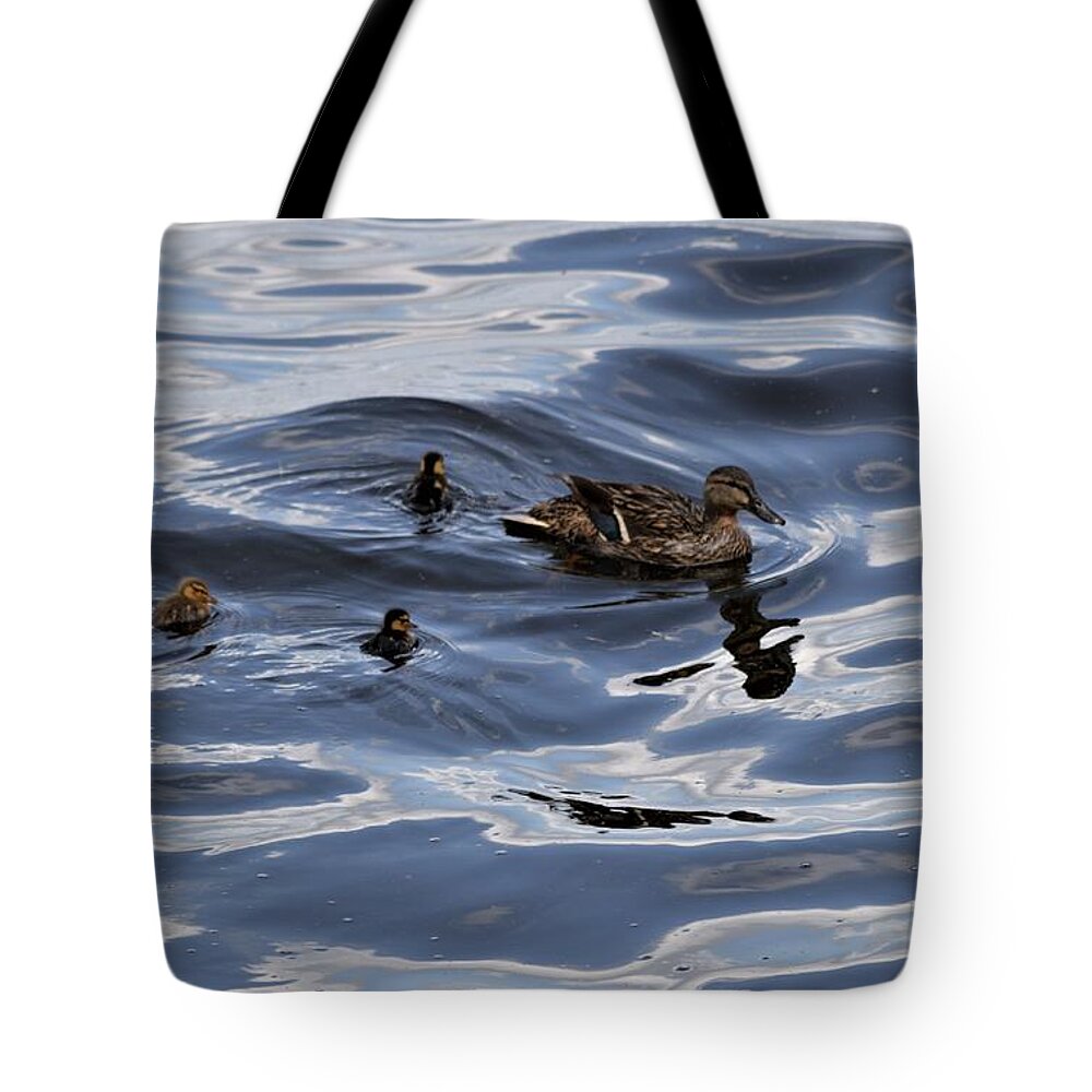 Mallard Mother And Ducklings Tote Bag featuring the photograph Mallard Mother and Ducklings by Warren Thompson