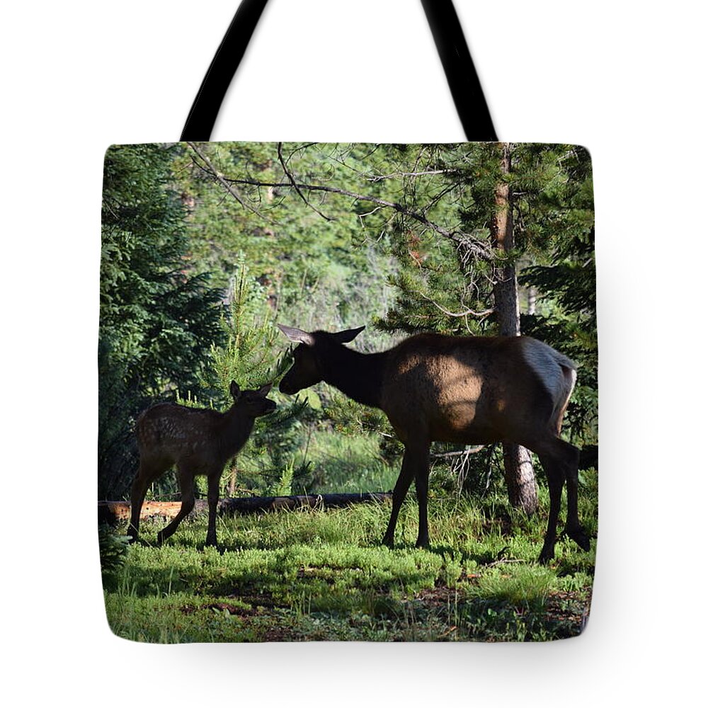 Animal Tote Bag featuring the photograph Elk Calf - Mother RMNP CO by Margarethe Binkley