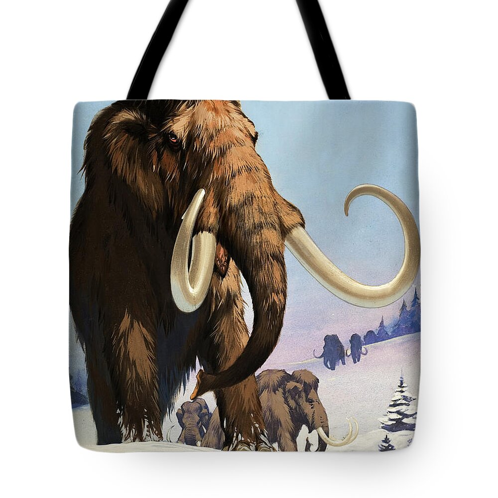 Mammoth Tote Bags