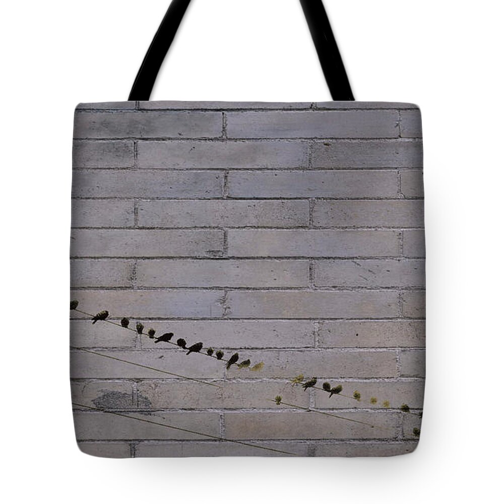 Black & White Tote Bag featuring the photograph Man Says It's Raining Outside by Jen Whalen