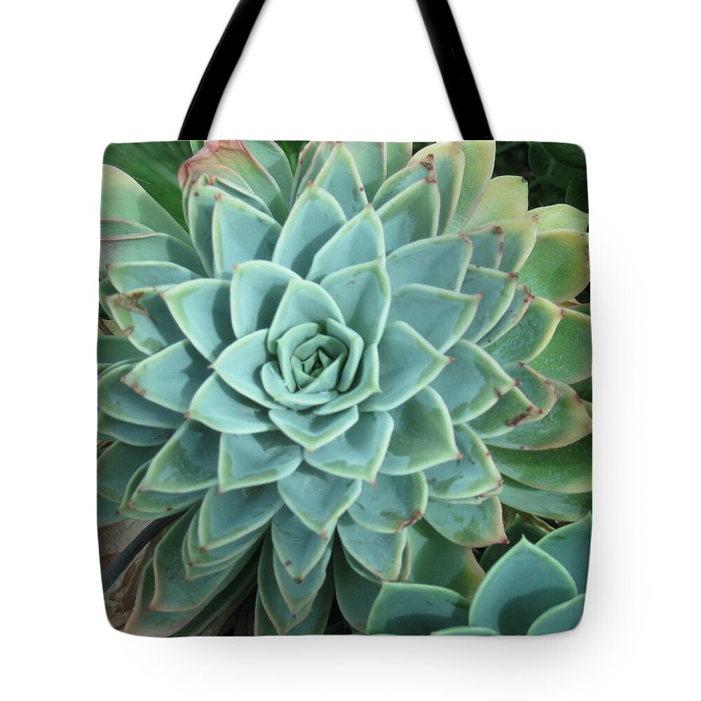  Tote Bag featuring the photograph Mandala by Ron Monsour