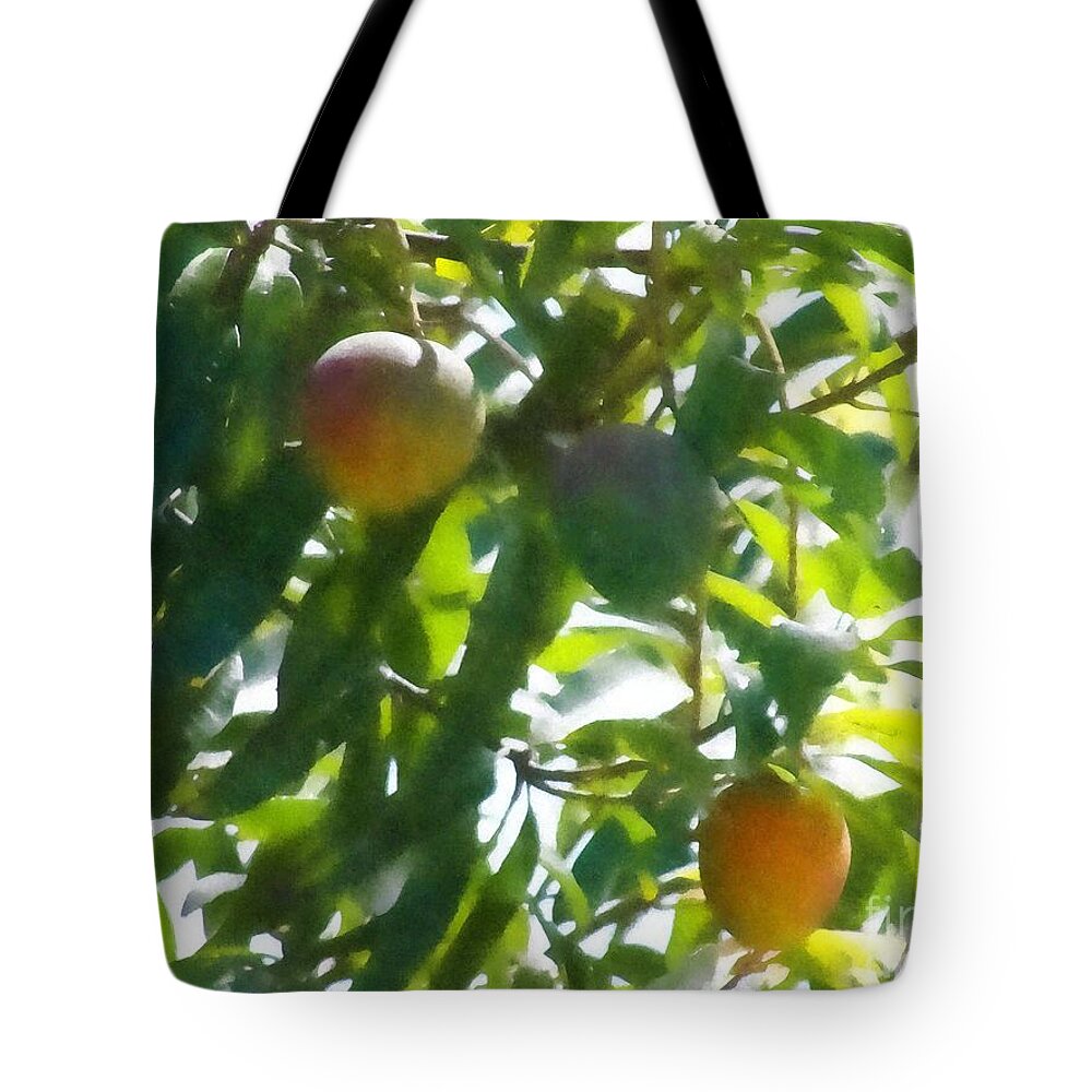 Mango Time Tote Bag featuring the photograph Mango Time by Carl Gouveia
