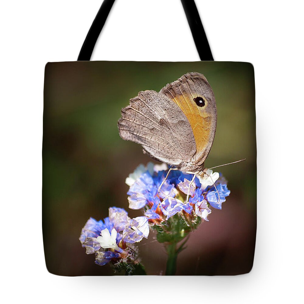 Butterfly Tote Bag featuring the photograph Maniola telmessia by Meir Ezrachi