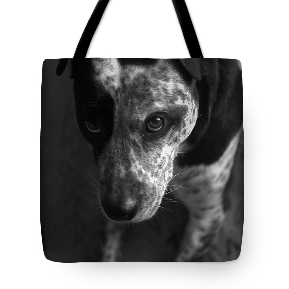 Blackandwhite Tote Bag featuring the photograph Mans Best Friend II by Suzanne Powers