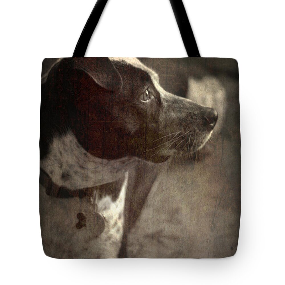 Dog Tote Bag featuring the photograph Mans Best Friend IV by Suzanne Powers