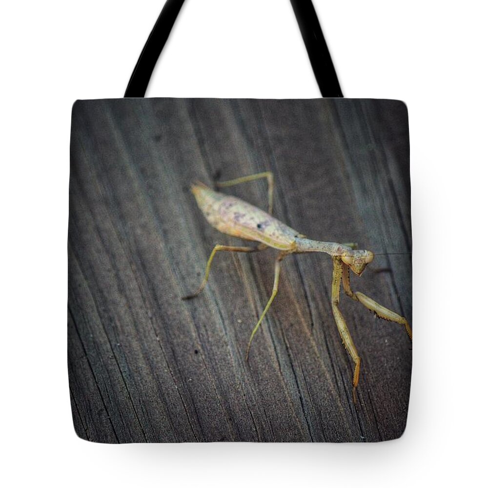 Mantis Tote Bag featuring the photograph Mantis by Joseph Caban