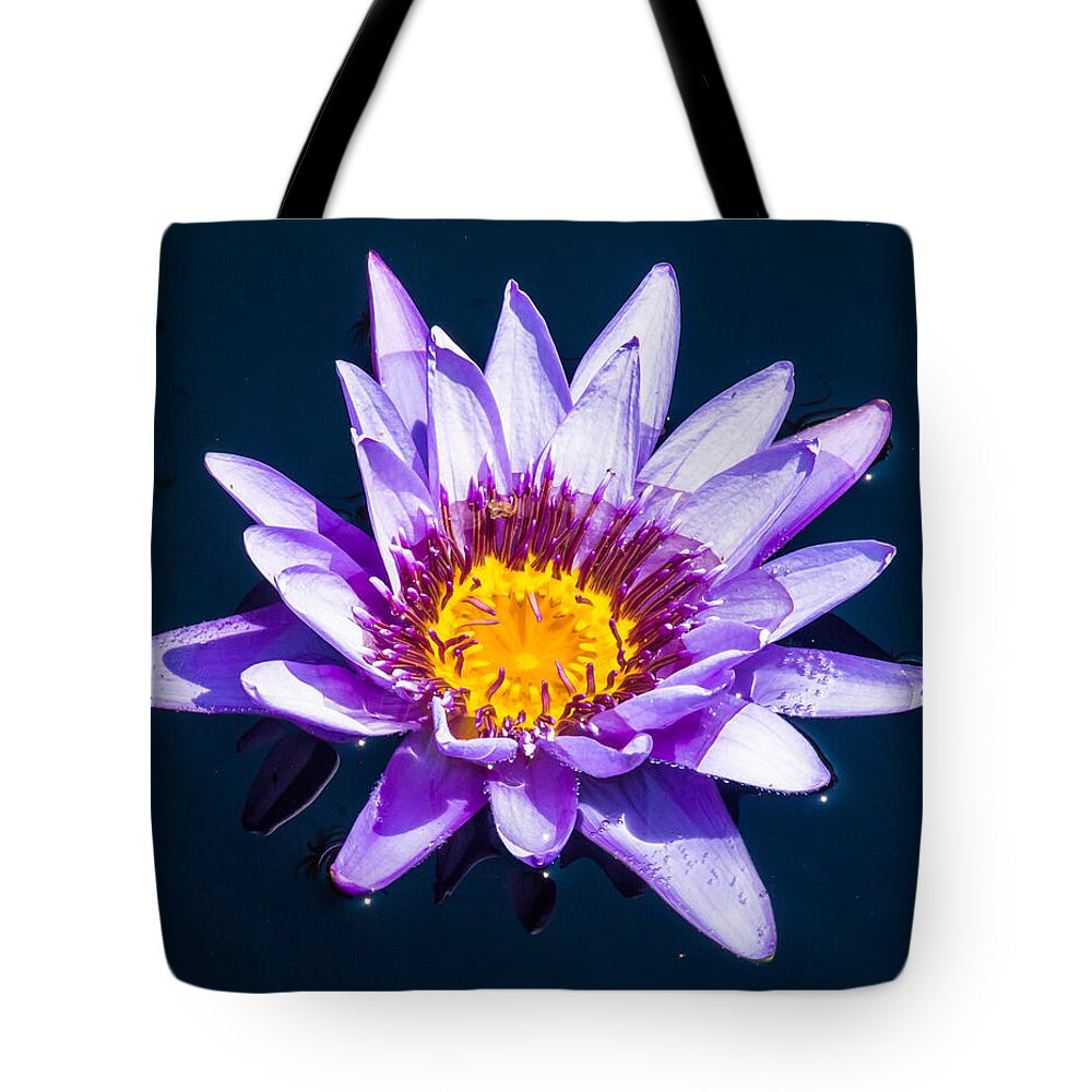 Water Lilly Tote Bag featuring the photograph Surounded by Charles McCleanon